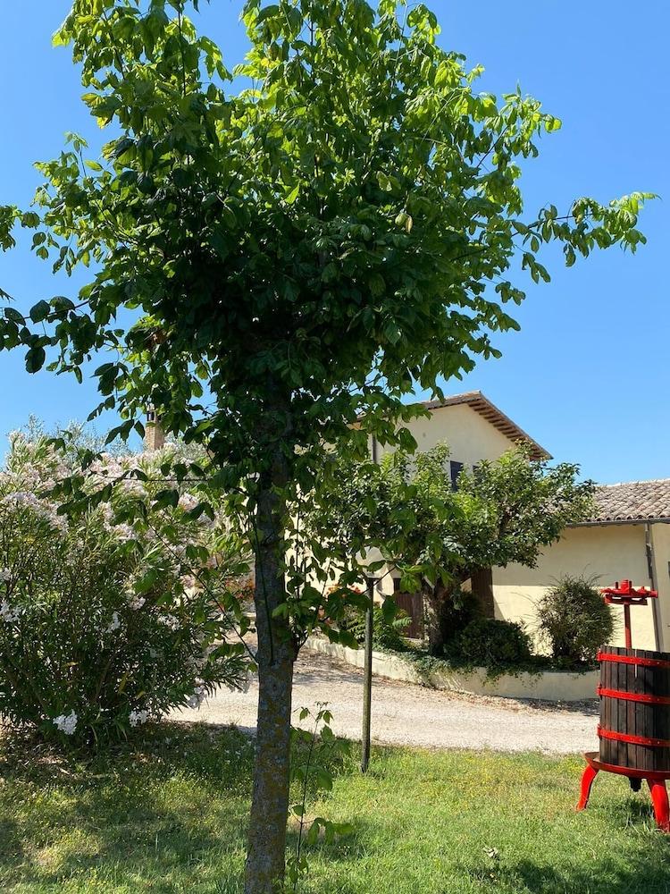 ريزيدينزا كاردينال جيرولامو دي مونتشيلي المنطقة الخارجية