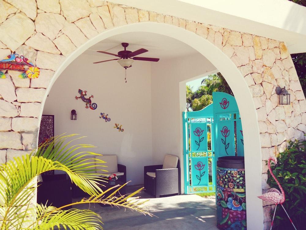 بيل فلي ميشنز هوتل المنطقة المحيطة بالمنشأة