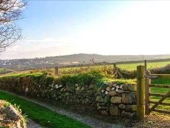 Bwthyn Bach Property Grounds