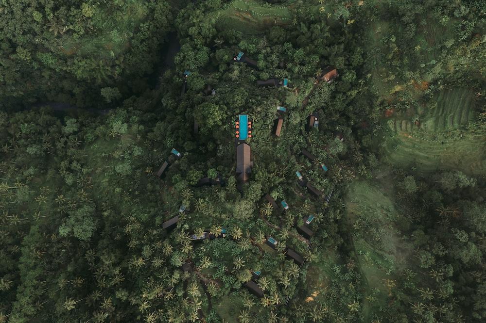 بواهان، إيه بانيان تري إسكايب المنطقة الخارجية