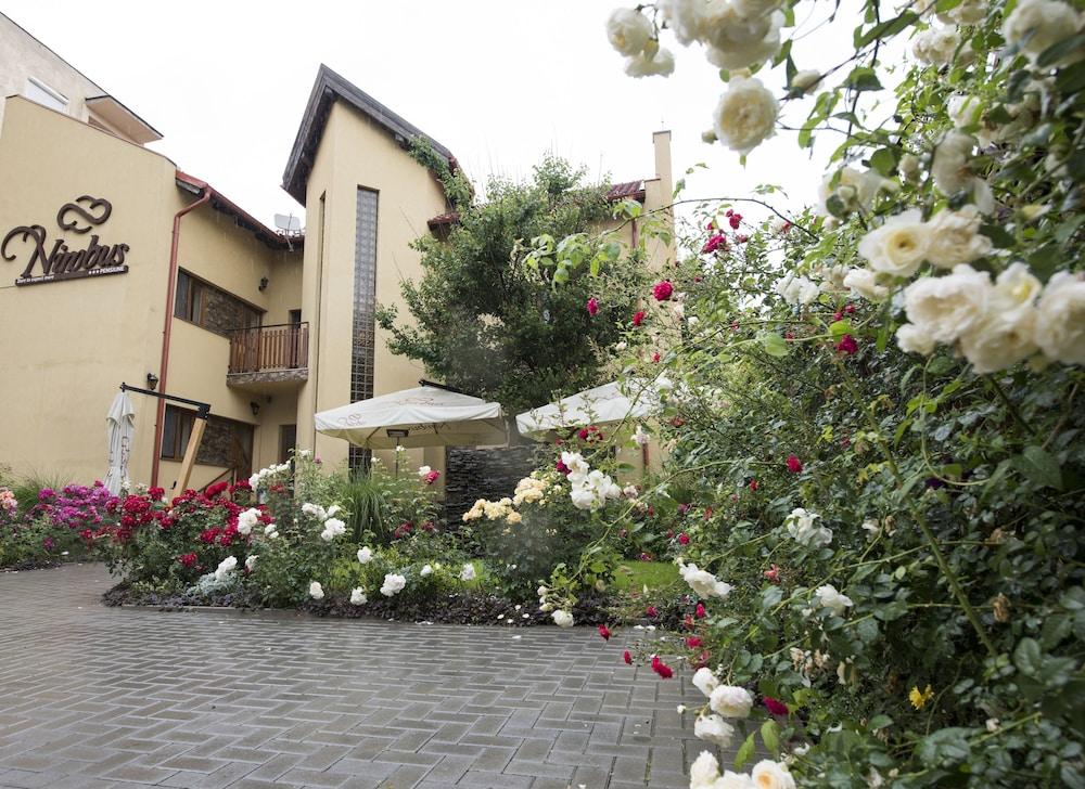 Pensiunea Nimbus Property Grounds