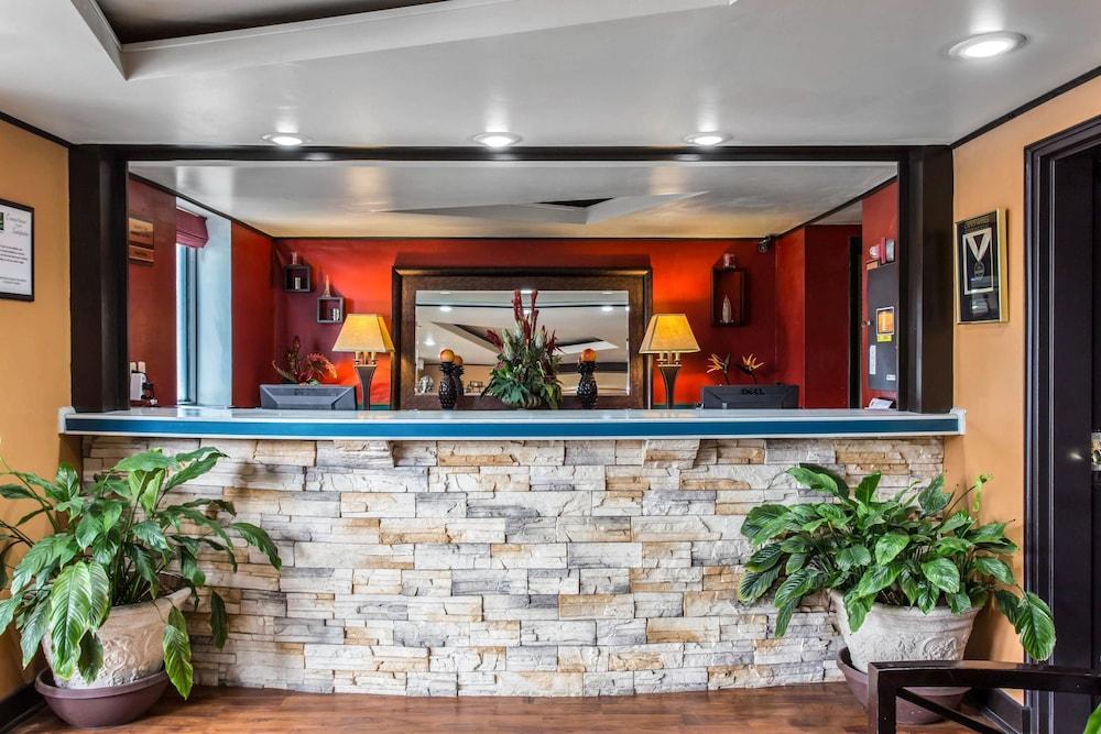 كواليتي إن جوس كريك - شارليستون الردهة