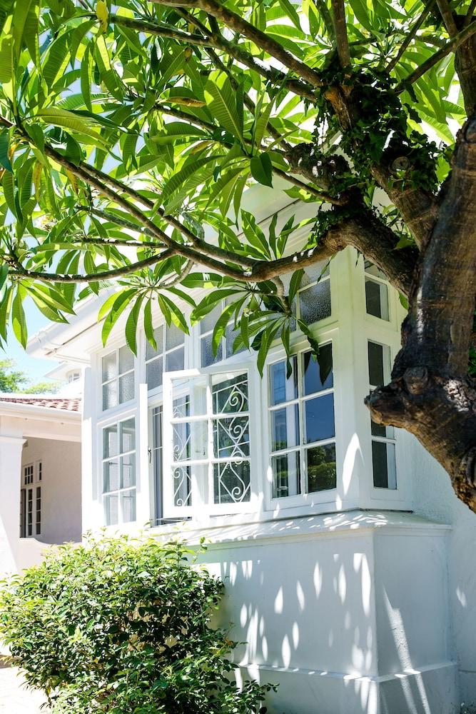 5 كامب ستريت جيستهاوس آند سيلف-كايترينج المنطقة الخارجية