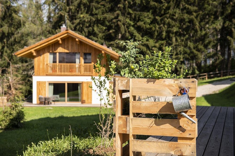 Nice Chalet in Wolting With Natural Swimming Pond