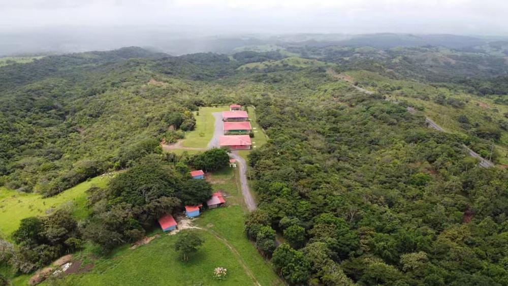 جوايابو أنيمال ريسكوي