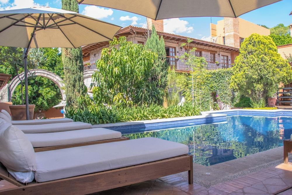 جاما موريليا فيستا بيّا