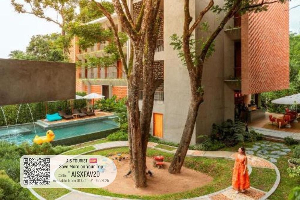 براود فو فاه موانج تشيانغ ماي