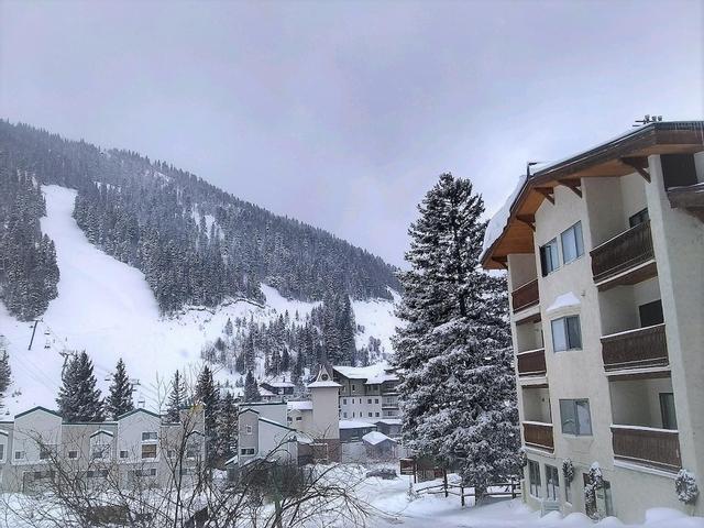 باودرهورن فاكيشن رينتالز