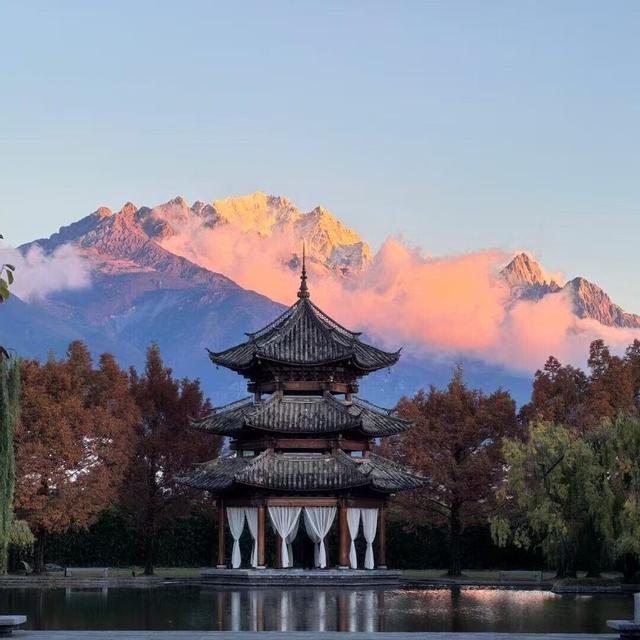 بانيان تري ليانج