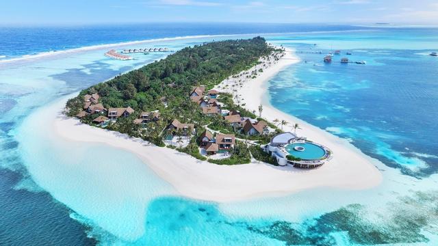 سيكس سينسيس كانوهورا