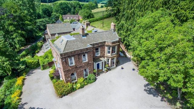 تشيلسي باركفيلدز