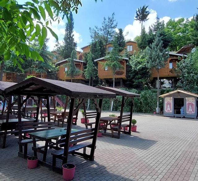 إراسلان تاتيلكويو