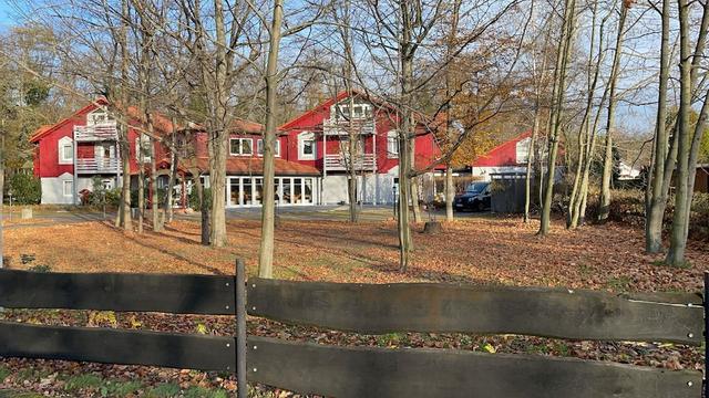 هوتل روزينجارتين