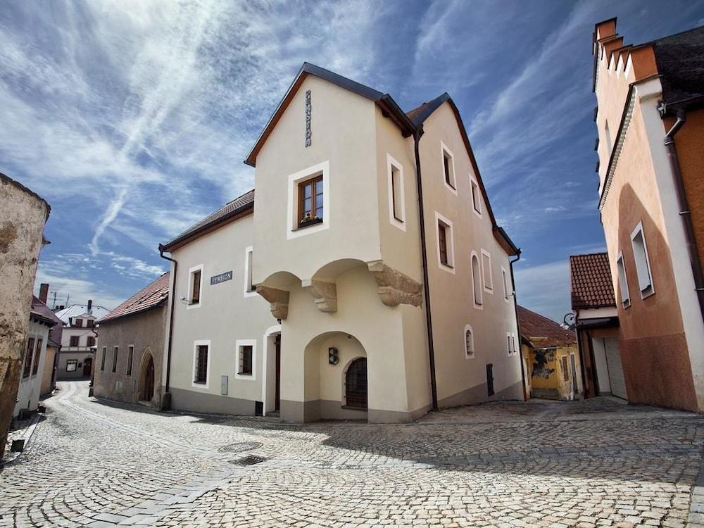 ستارومستسكي بينزيون