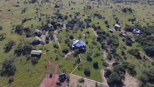 سيرينجيتي إكوما وايلد كامب