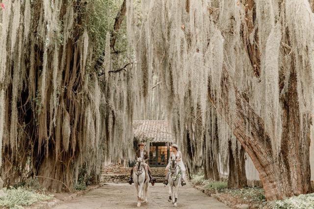 هاثيندا سويسكون