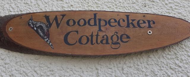 إنفيتينغ 3 بد كوتيدج كلوس تو بوللي