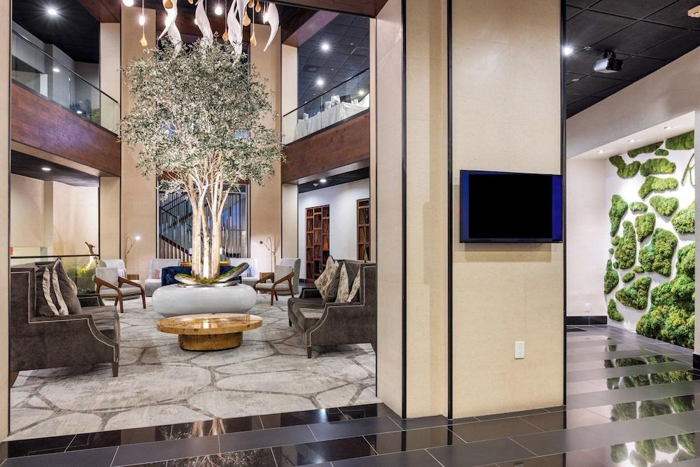 فوكو لاجونا هيلز باي آيتش جي