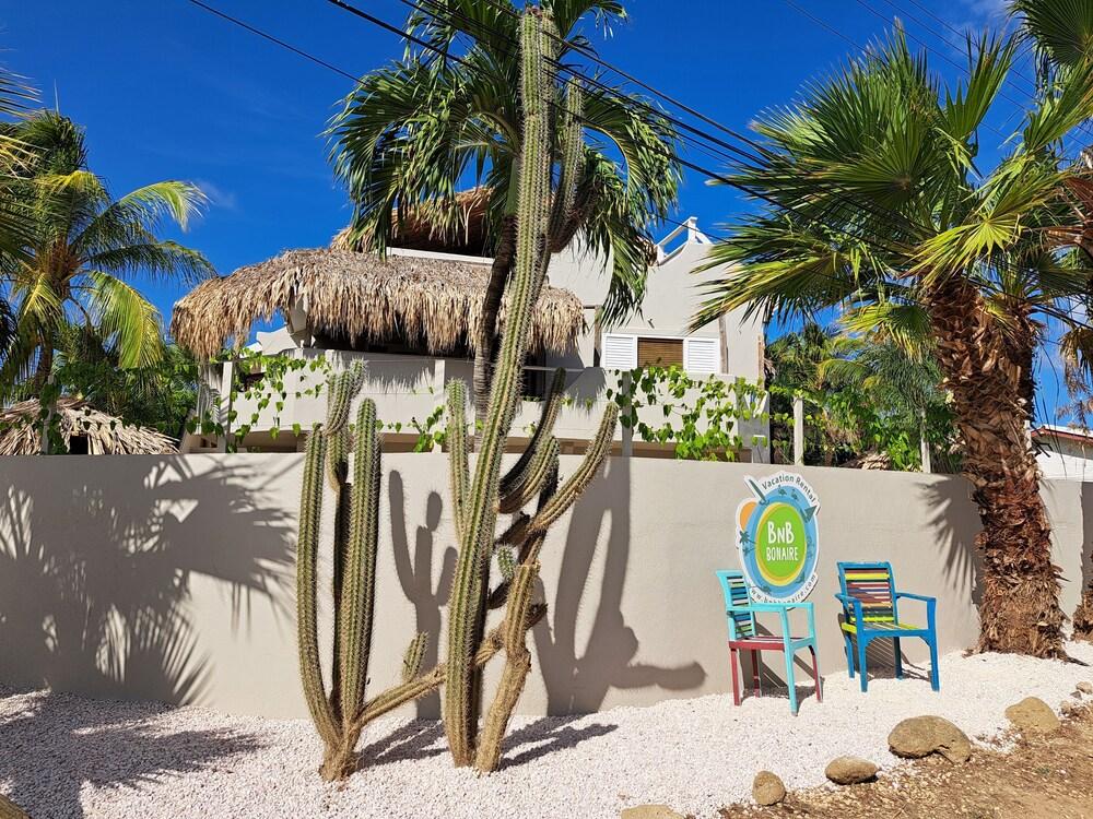 بي إن بي بونير