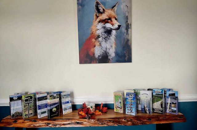 فوكس ماونتن إن