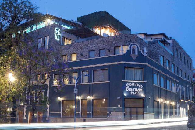 بانيان تري بويبلا