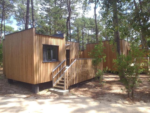 فبفايج كاب فيريت، كلاوي