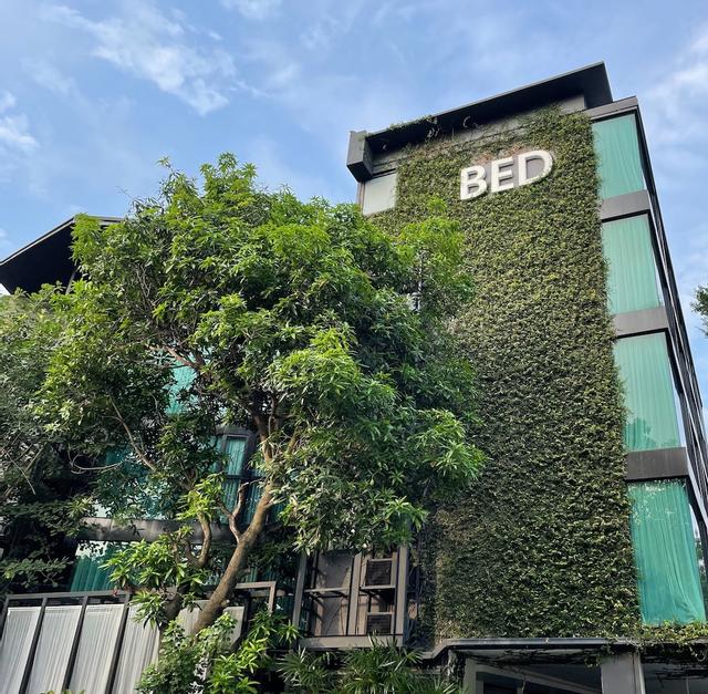 بيد شانجكيان هوتل - للبالغين فقط