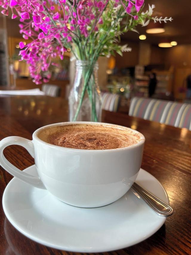 ذا دولفين إس إيه 1 هوتل