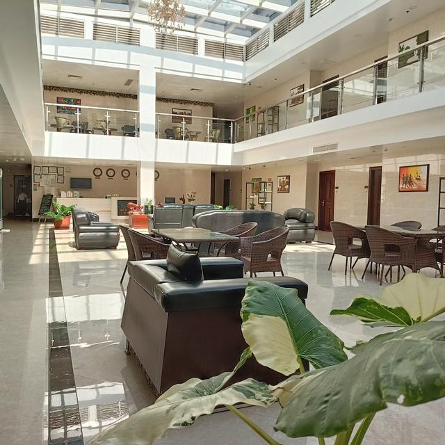 وان إل نيدو سويت