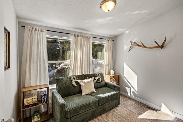 هيدين باينز