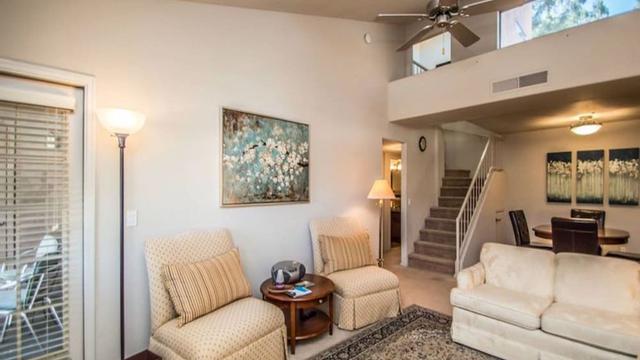 جرايت نورث سكوتسديل كوندو!