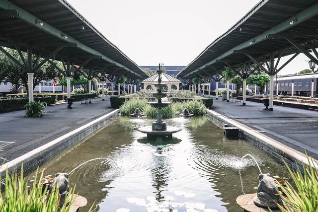 شاتانوجا تشو تشو