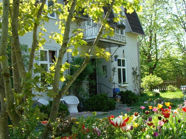 واندرفول هوم