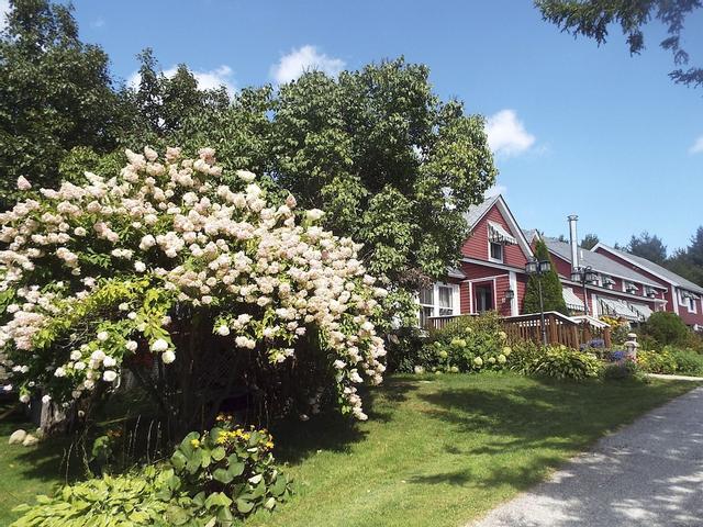 ذا فيرمونت إن