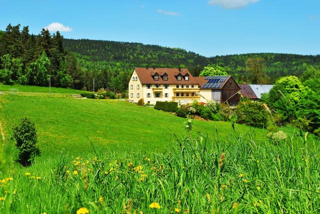 فيرينفونونج فاميلي كابواف آند بيتريك