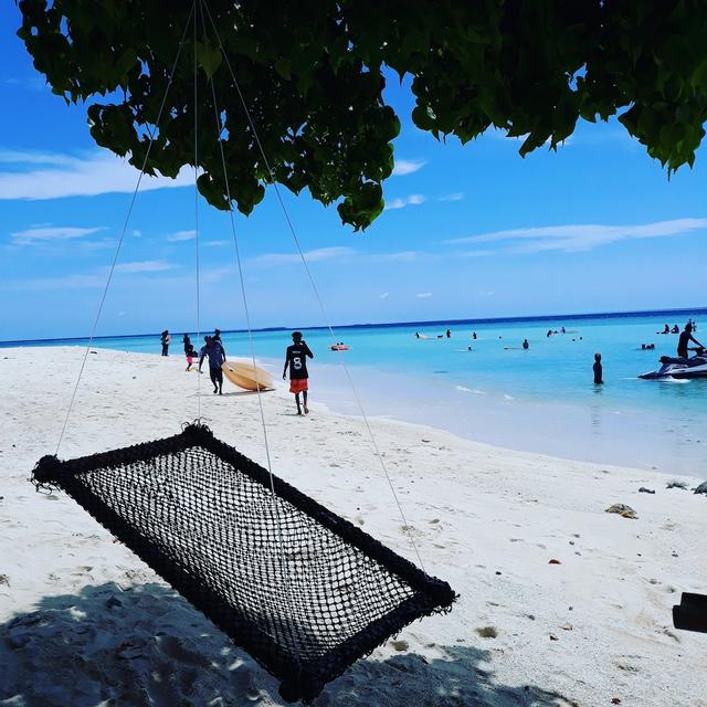Hibiscus Holidays
