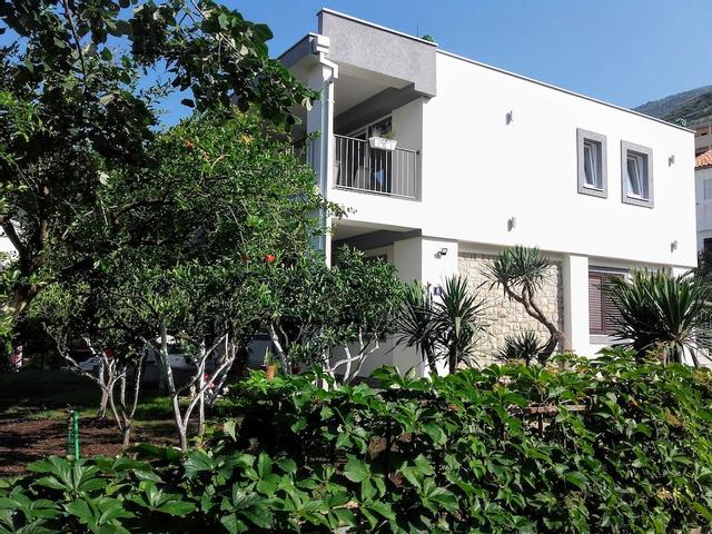 جيست هاوس دجونوفيك