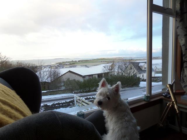 هيلديفال بد آند بريكفاست