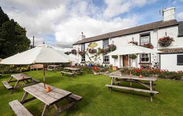 ذي إليفانت نيست إن