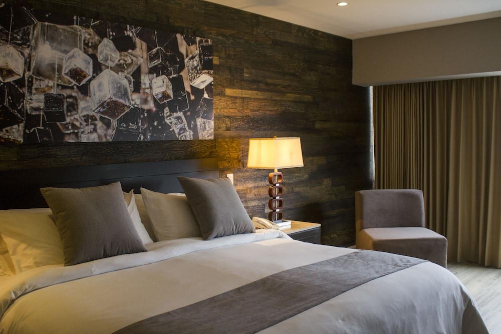 فينتورا سويتس باي دومينيون