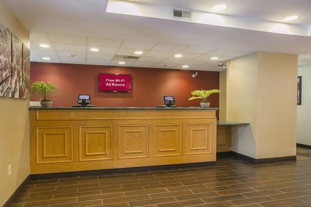 ريد رووف إن كولد ووتر