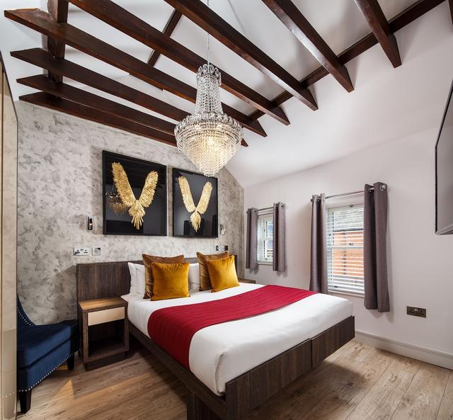 سيجنيتشر سويتس