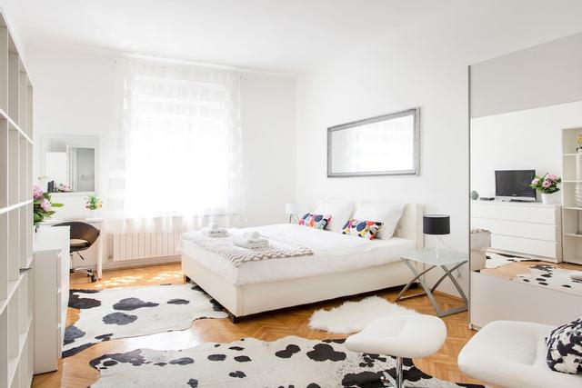 Spacious 2bdr Apartment on Tkalciceva Street