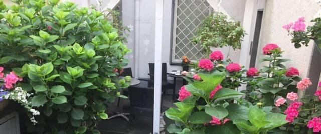 دي هوتل ألتيرناتيف