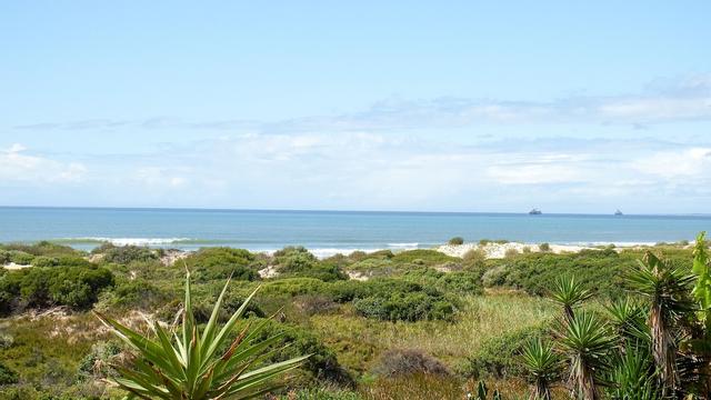 هاوس هايفين جيست هاوس