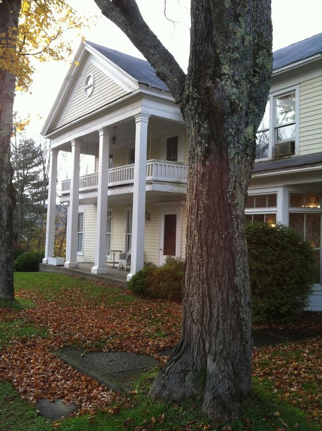 ذا ويلو تري إن