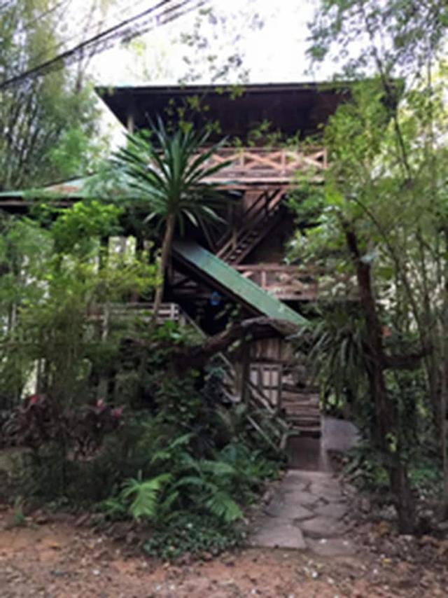 موم تشيالاي فورست ريتريت