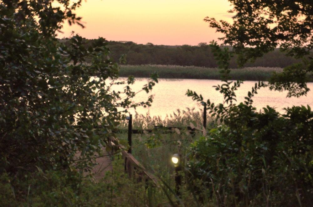 ذا بريدج أبارتمنتس