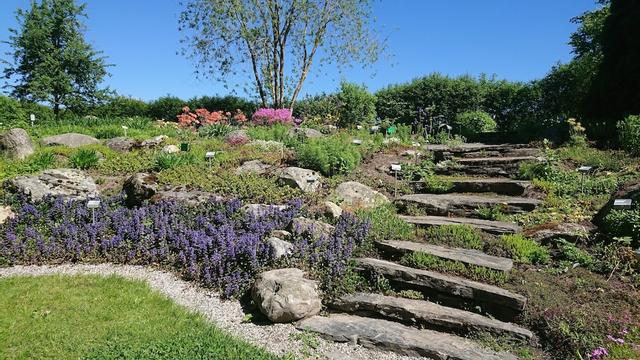 ليبان ماتكايلون تويميلا