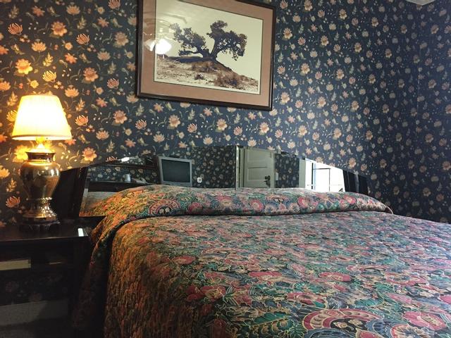 ديلوكس إن بيج سبرينج